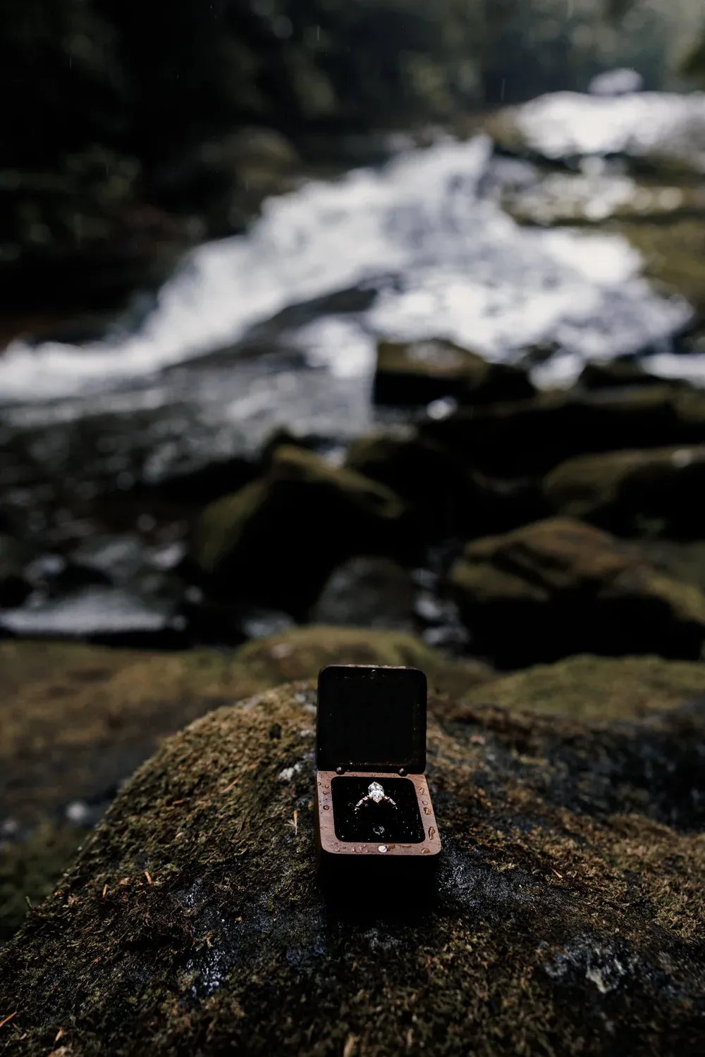 Engagement ring in an open box resting on moss beside a waterfall