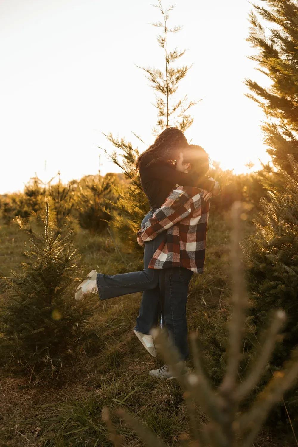 Engaged couple embracing at golden hour on a Christmas tree farm